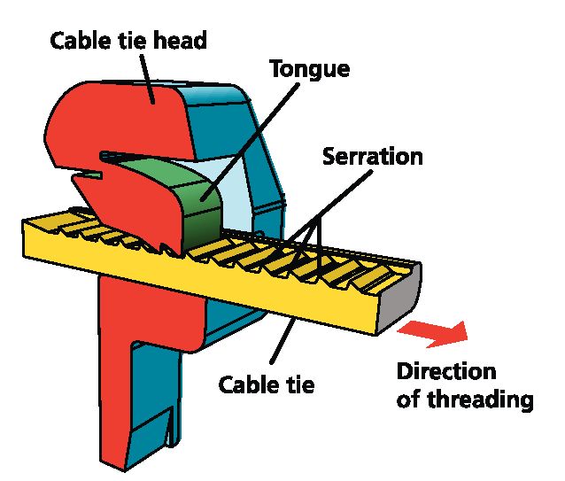 Colliers de serrage avec languette plastique, attache câble