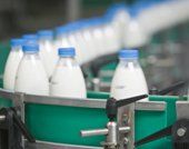 Industrie agro-alimentaire
